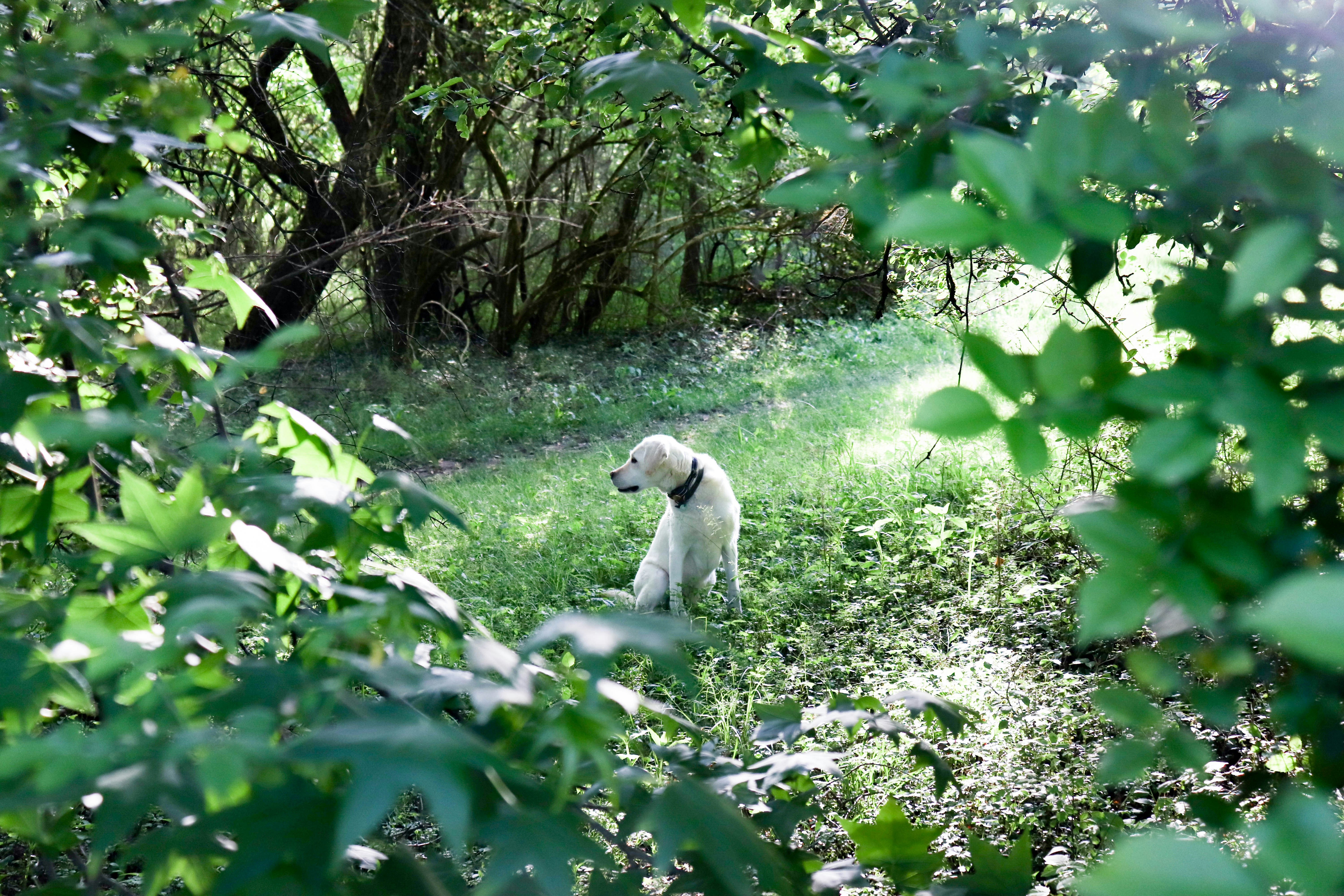 Photo by lroberts067