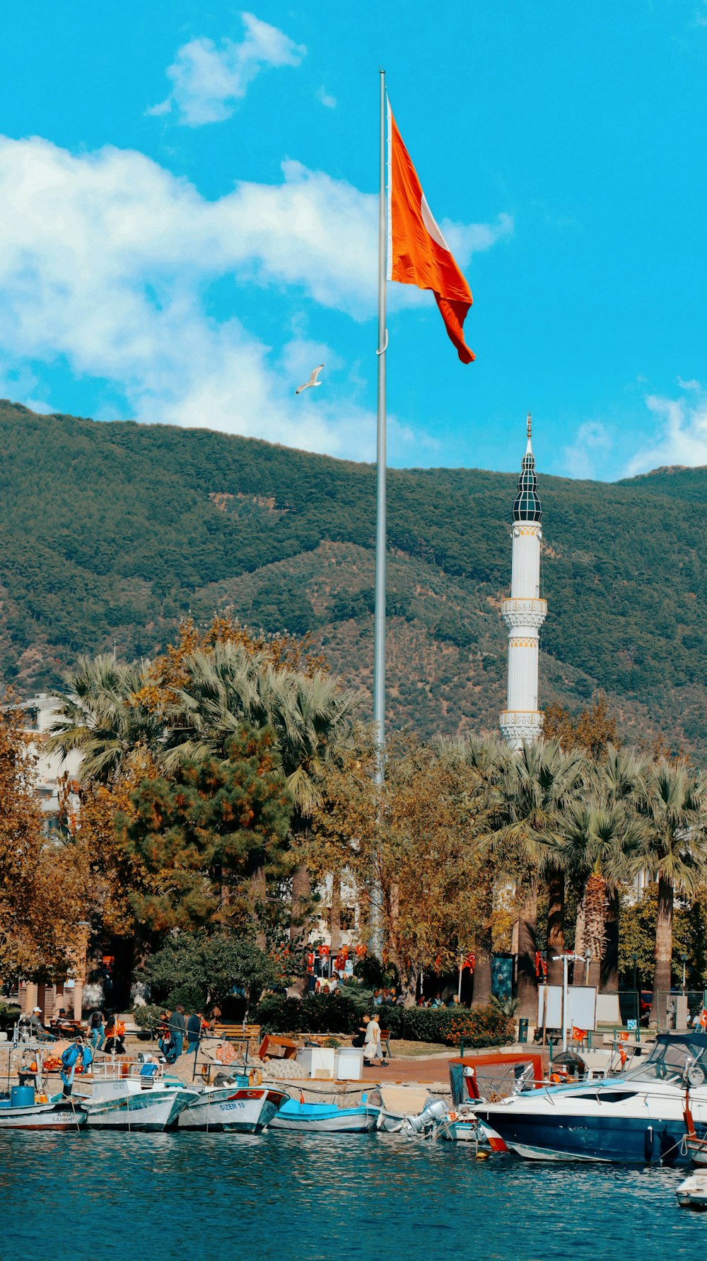 a flag on a pole