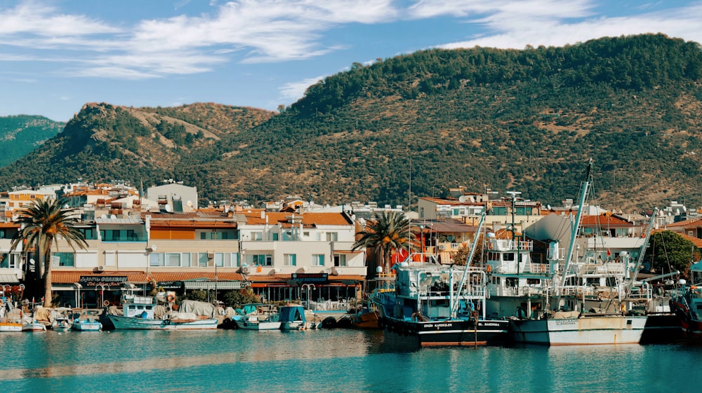 boats docked at a pier