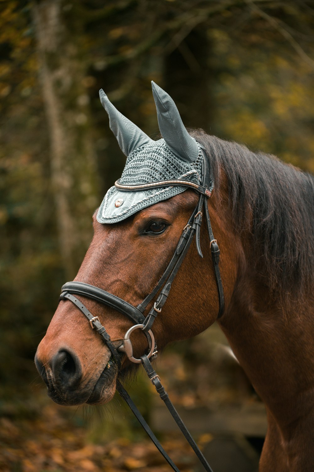 a horse wearing a hat