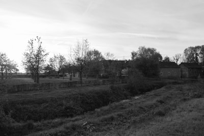 A serene rural landscape with sparse trees and a row of farmhouses in the distance. The field appears expansive, with a small creek running through the foreground.