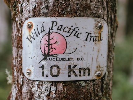 International Date Line, South Pacific port