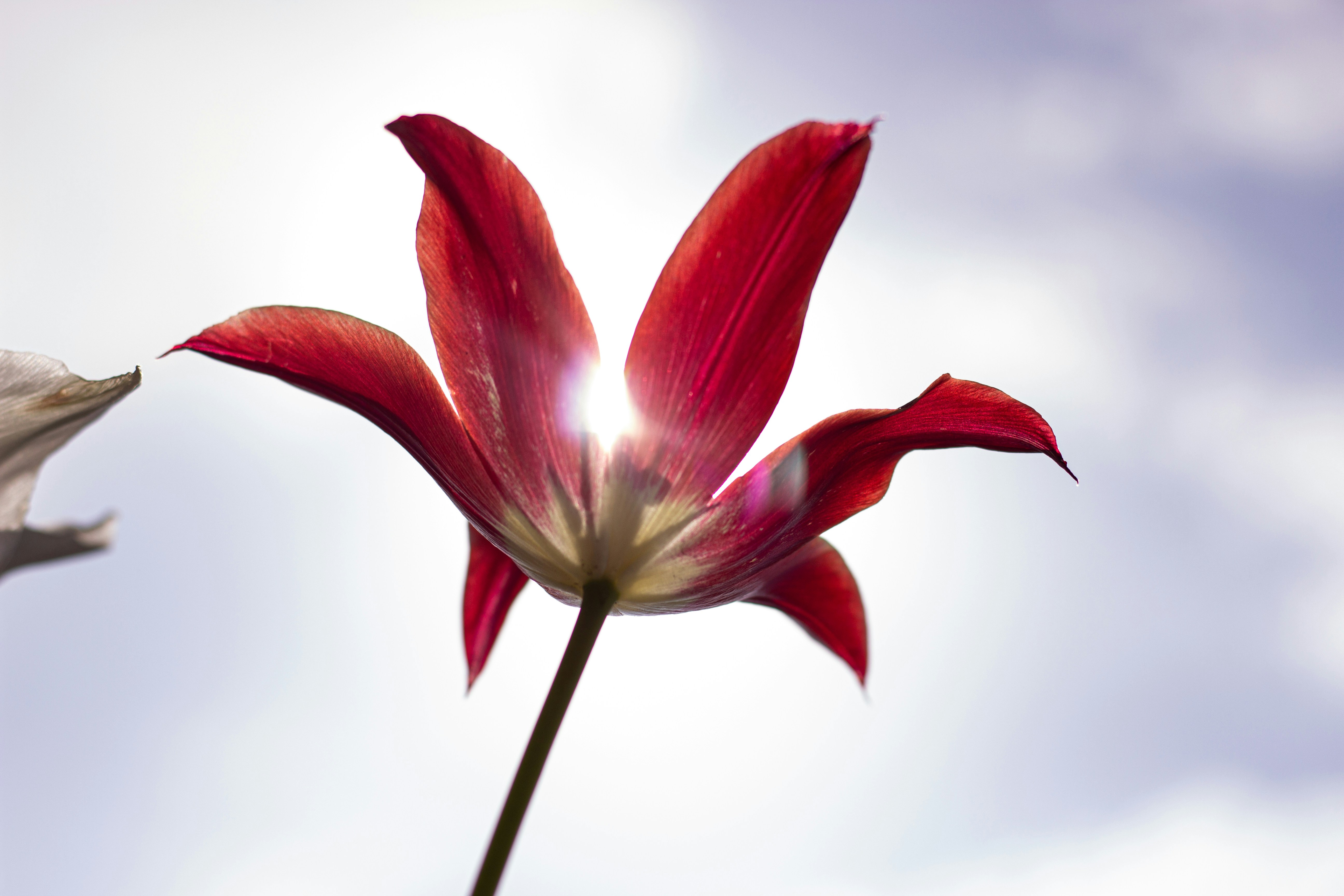 Photo by edwardphoto