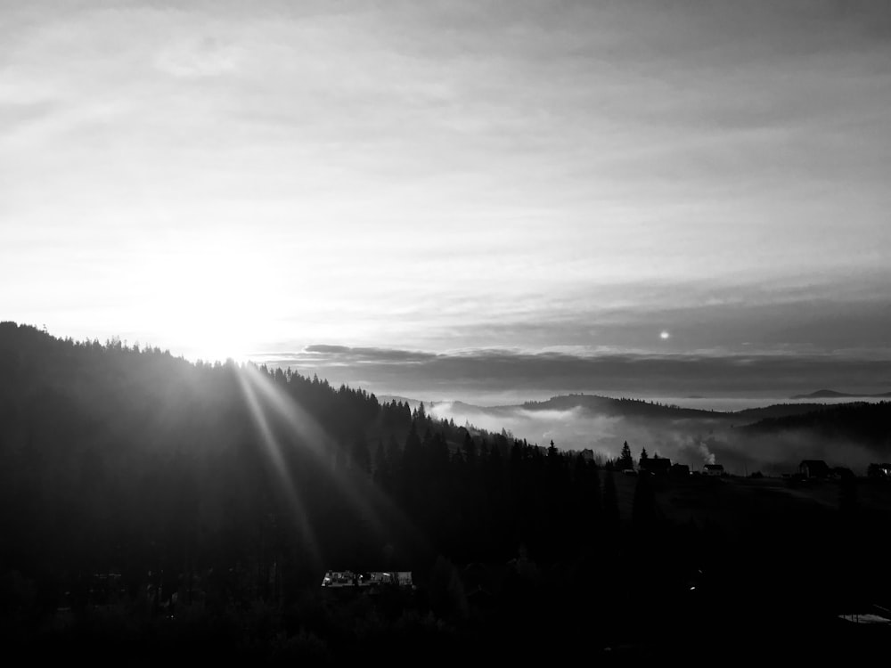 a foggy valley with trees and a mountain in the distance