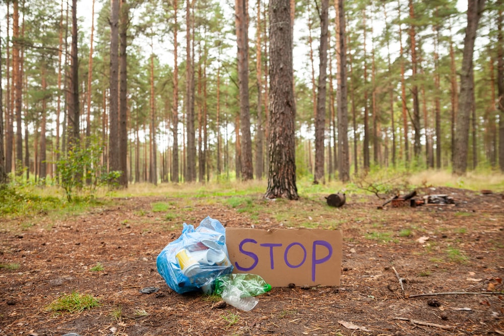 a sign in the woods