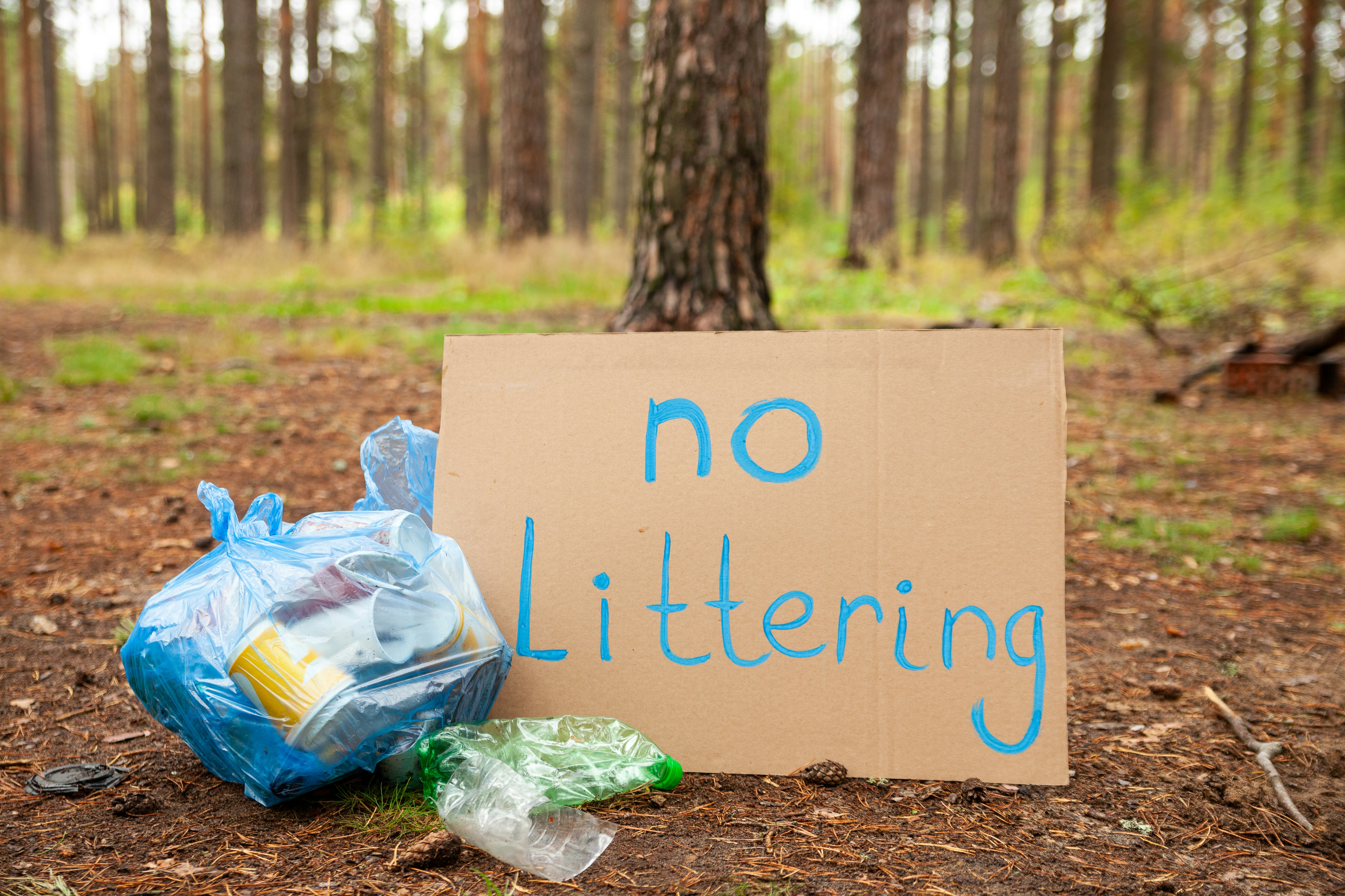 a blue trash can sitting on the side of a road