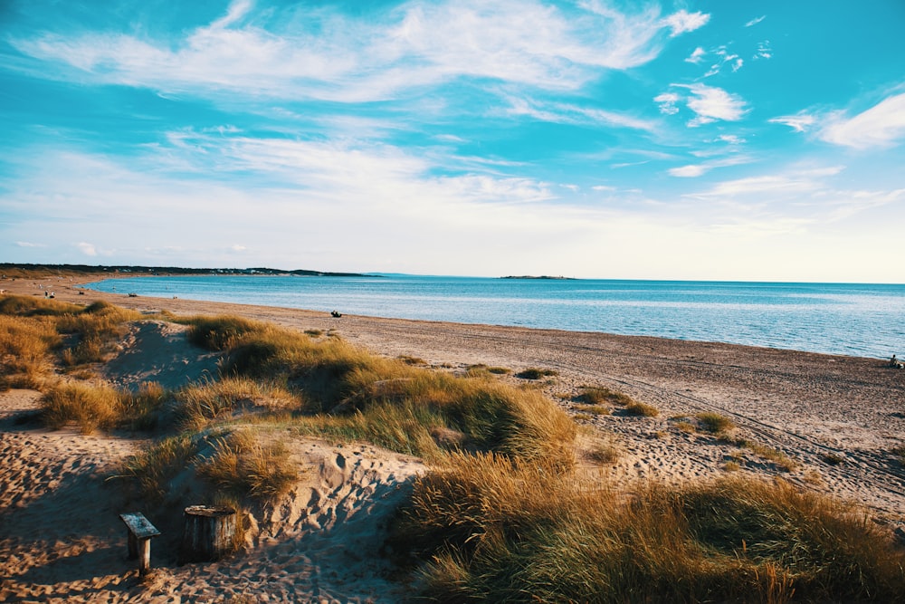 a sandy beach with a body of water in the background