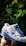 A white sneaker with blue accents is being held in a hand against a background of green leaves. The sneaker features the branding 'Air Max' and the Nike logo in blue.