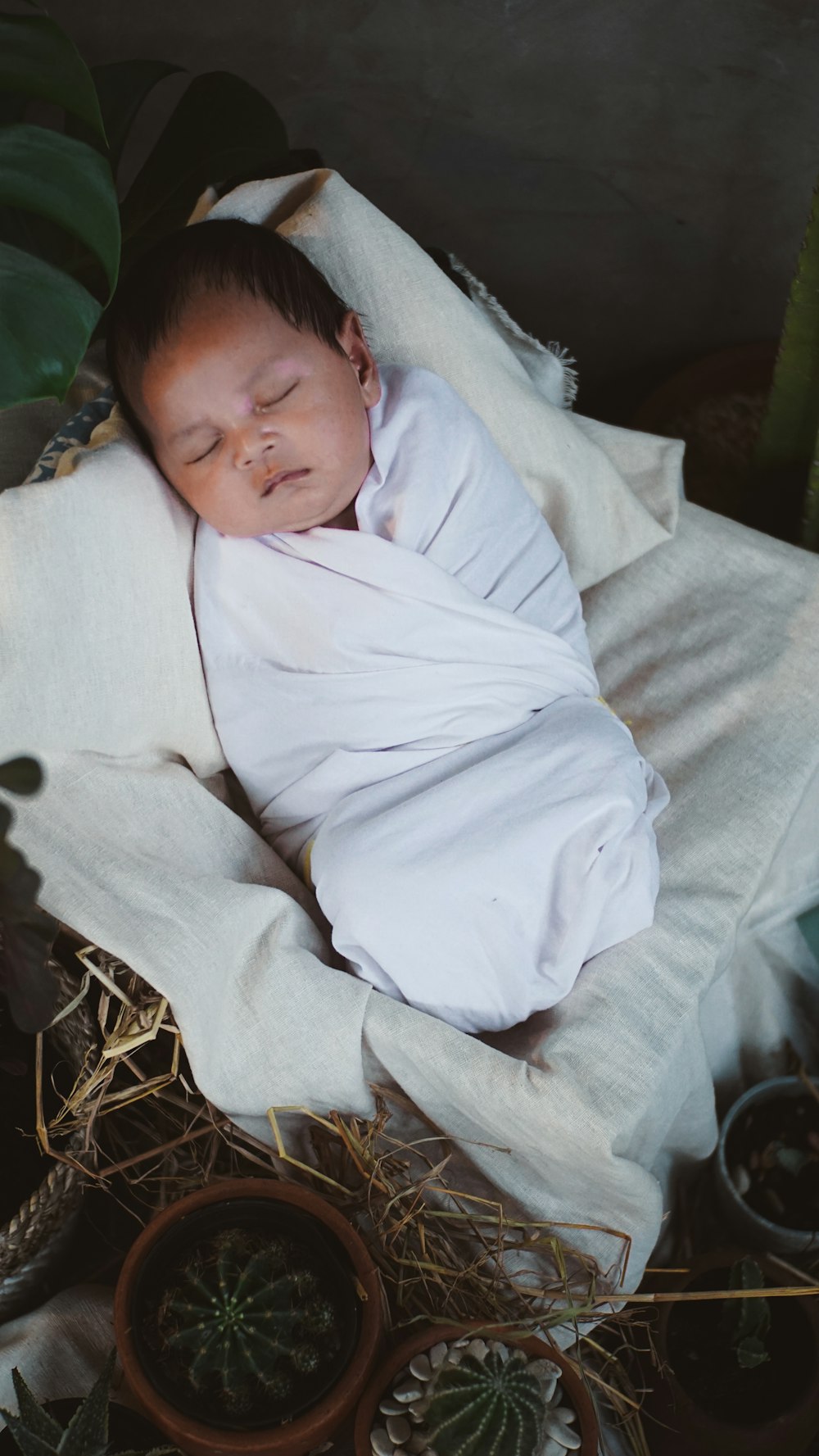 a person sleeping in a basket