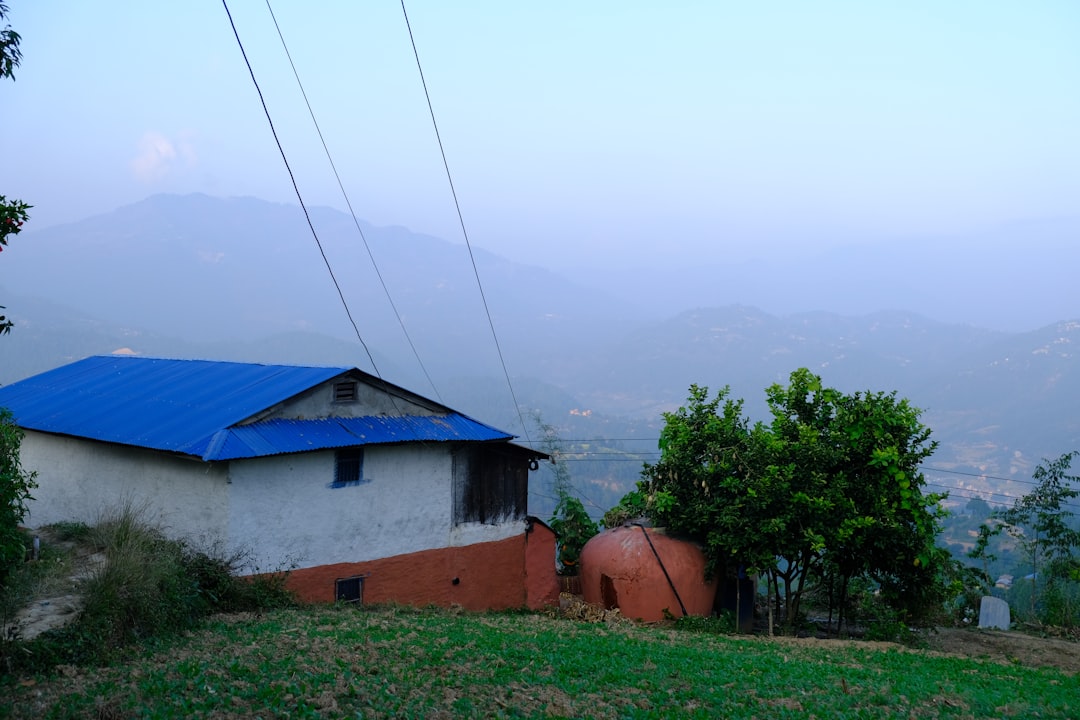 a white building with a blue roof,