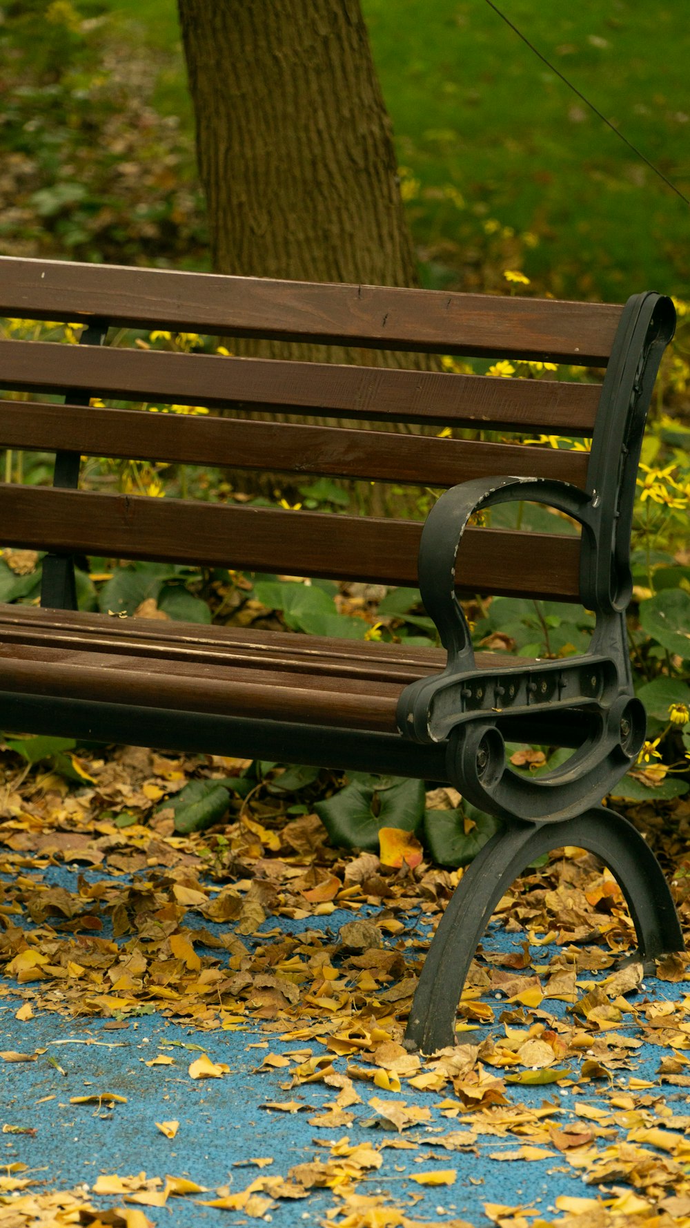 a bench sits unoccupied