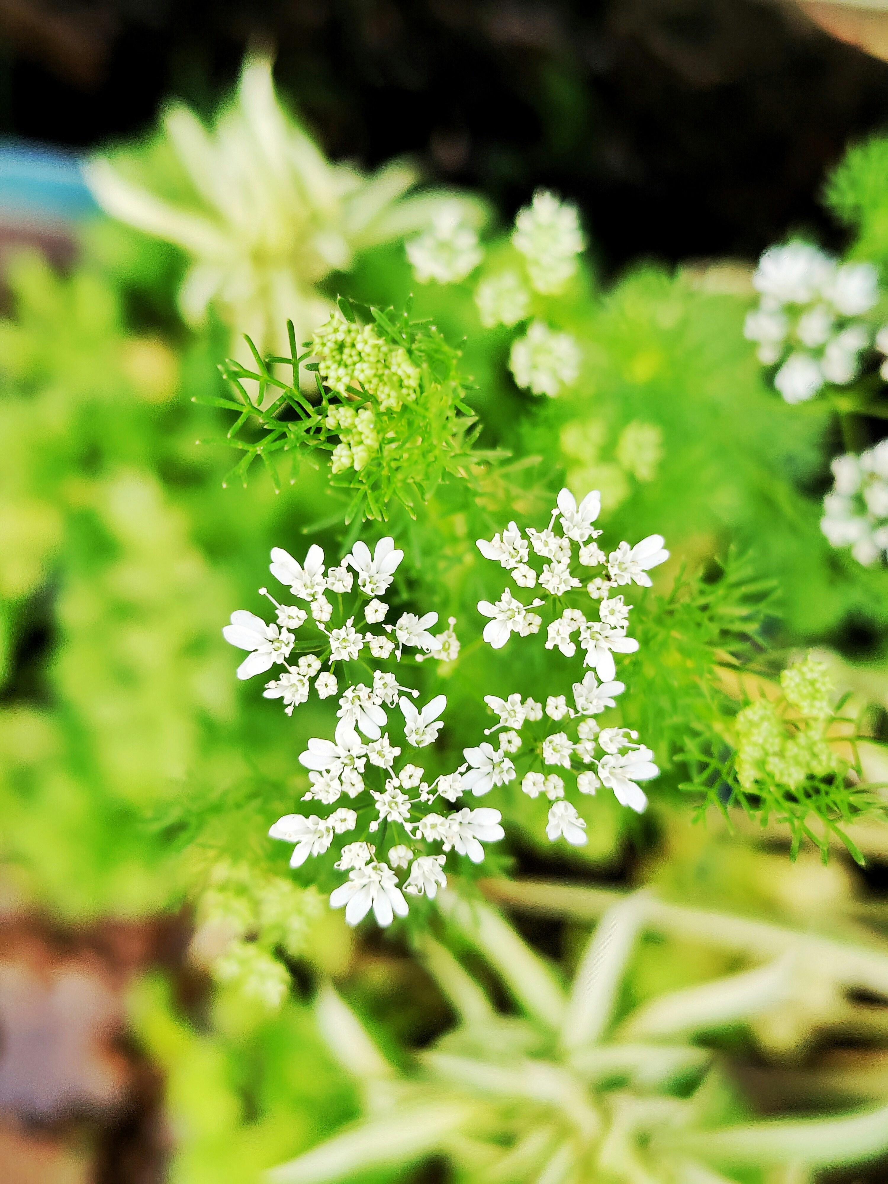 Photo by anonymity_redefined