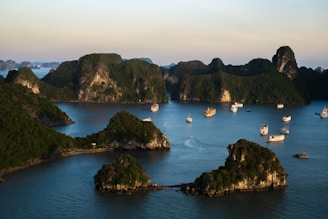 a group of boats in the water with Ha Long Bay in the background