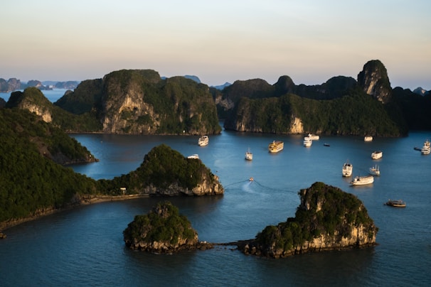 a group of boats in the water with Ha Long Bay in the background