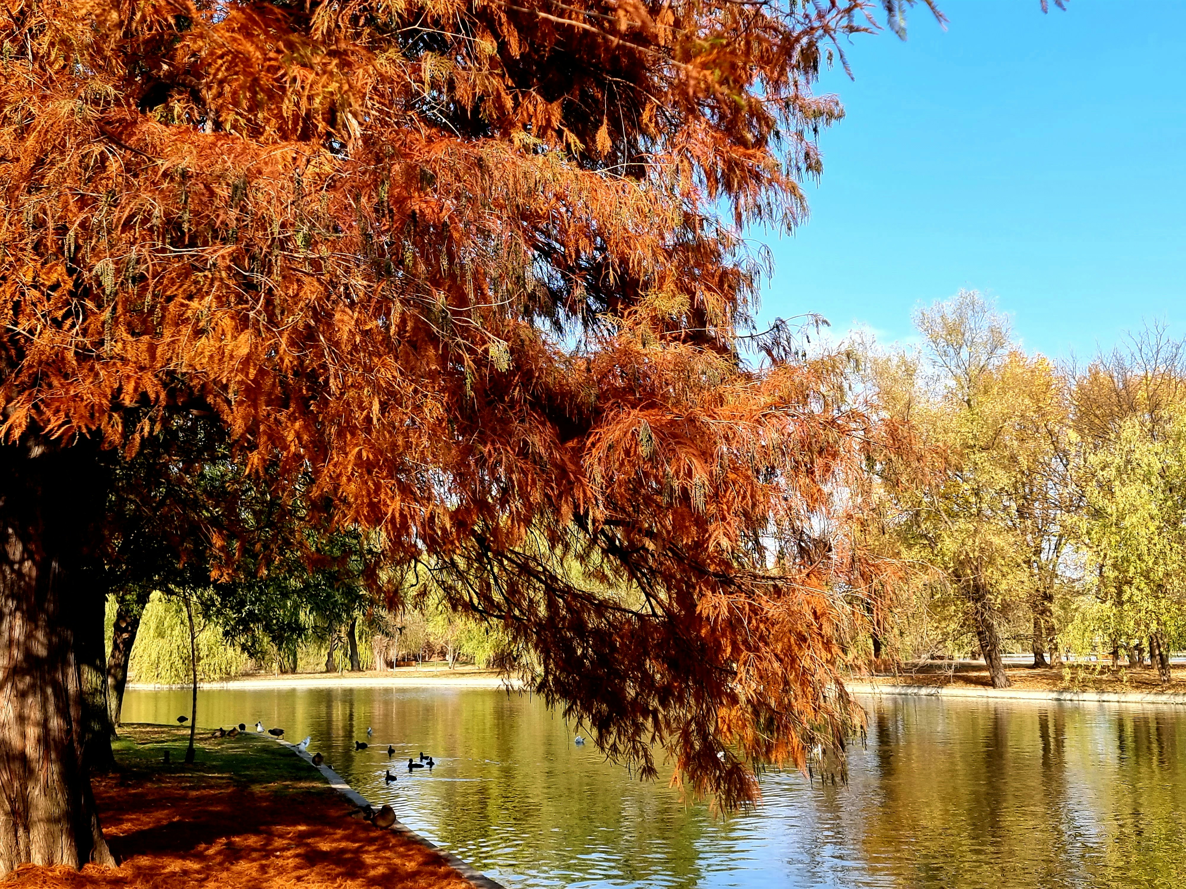 Photo by adrianasaraceanu