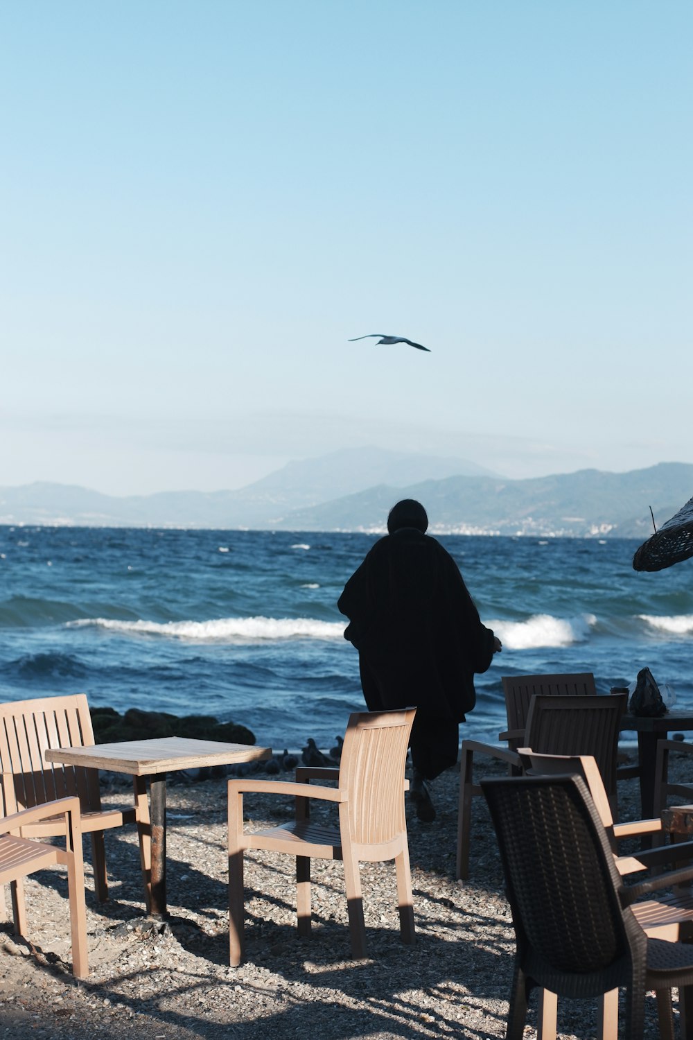 una persona in piedi su una spiaggia che guarda un gabbiano che vola nel cielo