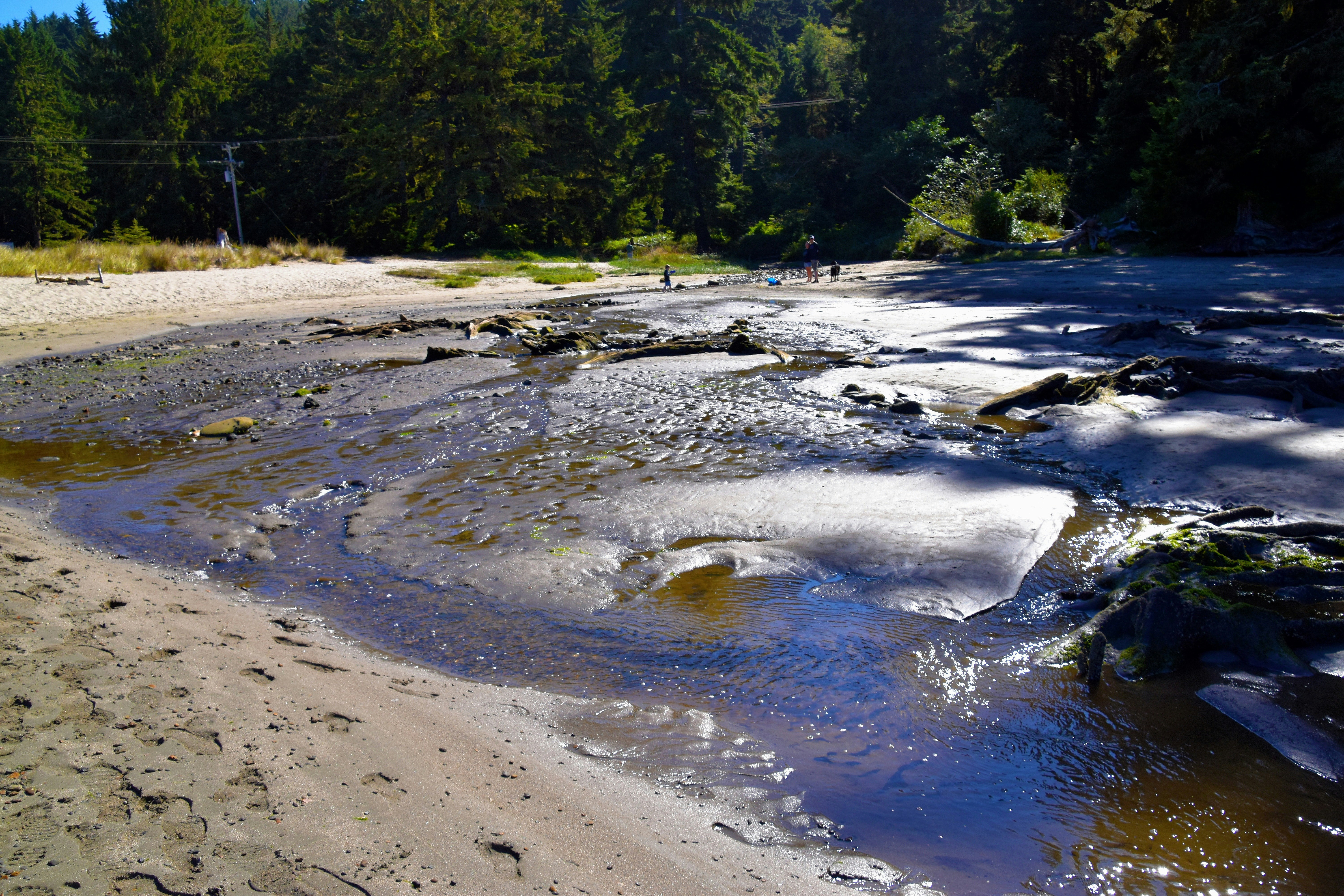 North Fork Whitewater Park