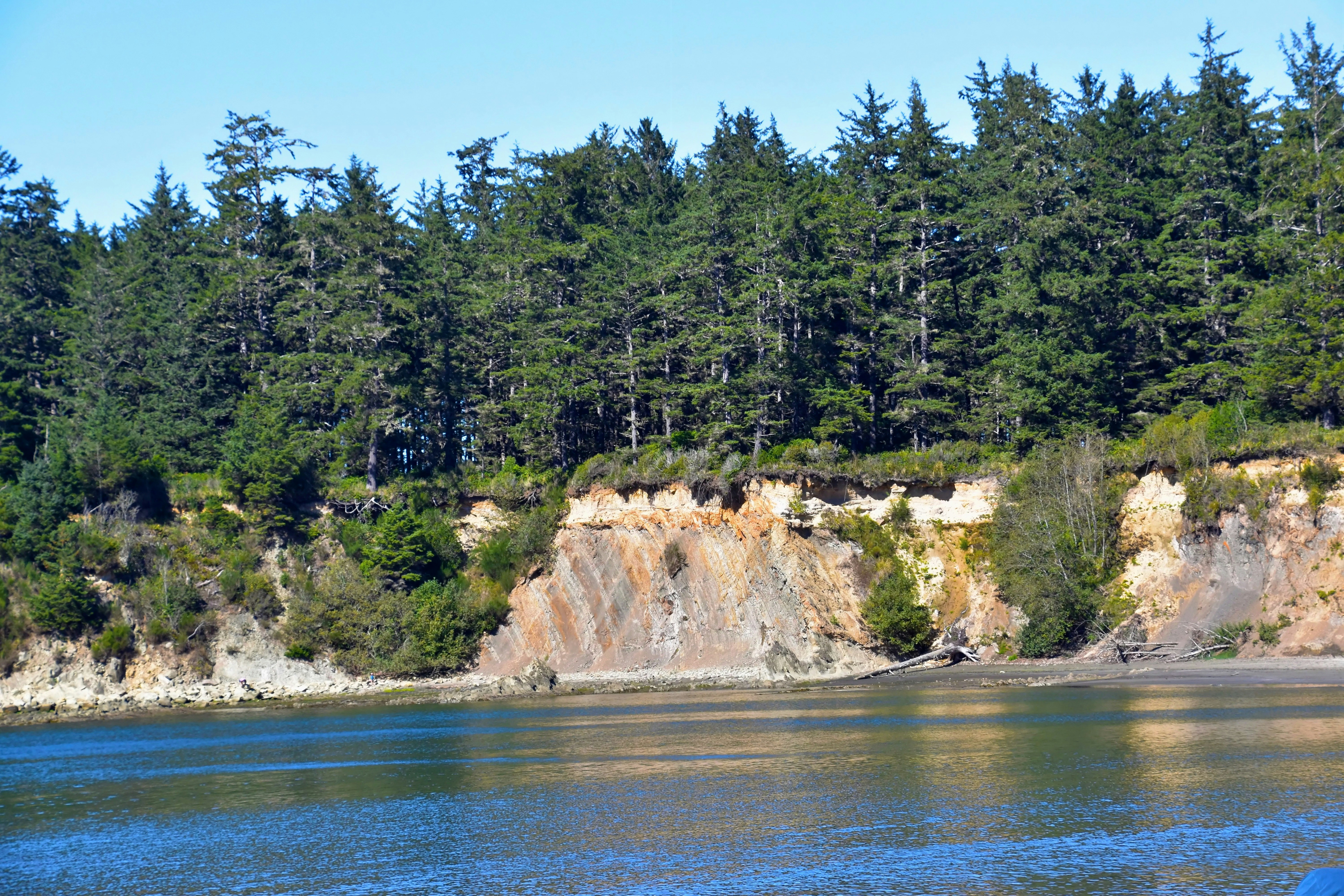 West Coast Fossil Park