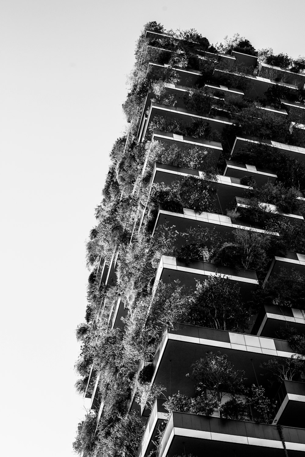 a tall building with trees in the front