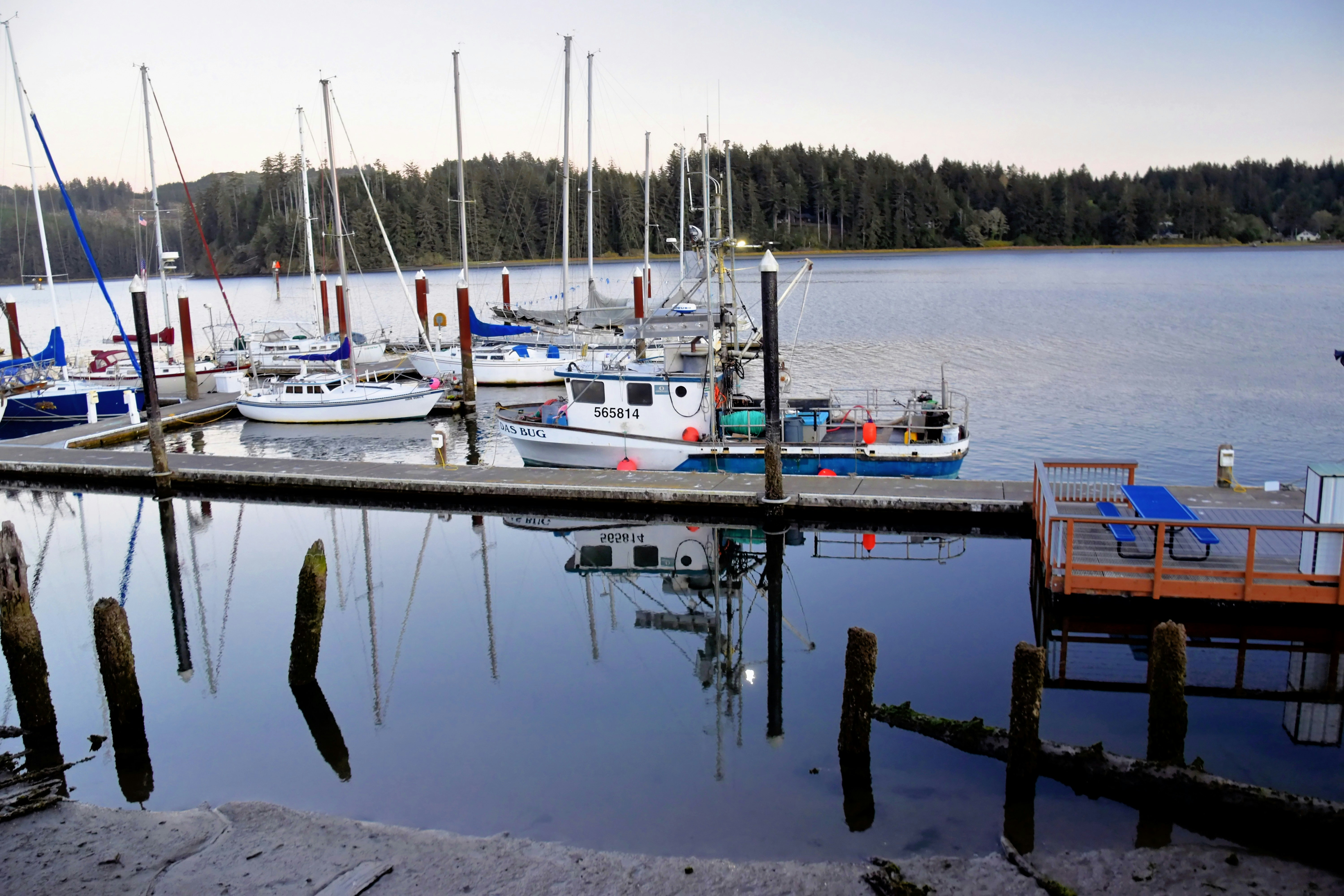 A group of boats sit in a harbor