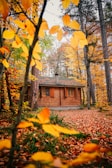A cozy mountain cabin surrounded by vibrant autumn trees, inviting couples for a romantic retreat.