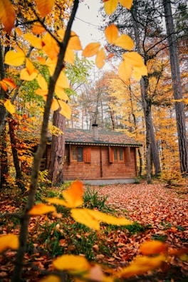 A cozy mountain cabin surrounded by vibrant autumn trees, inviting couples for a romantic retreat.