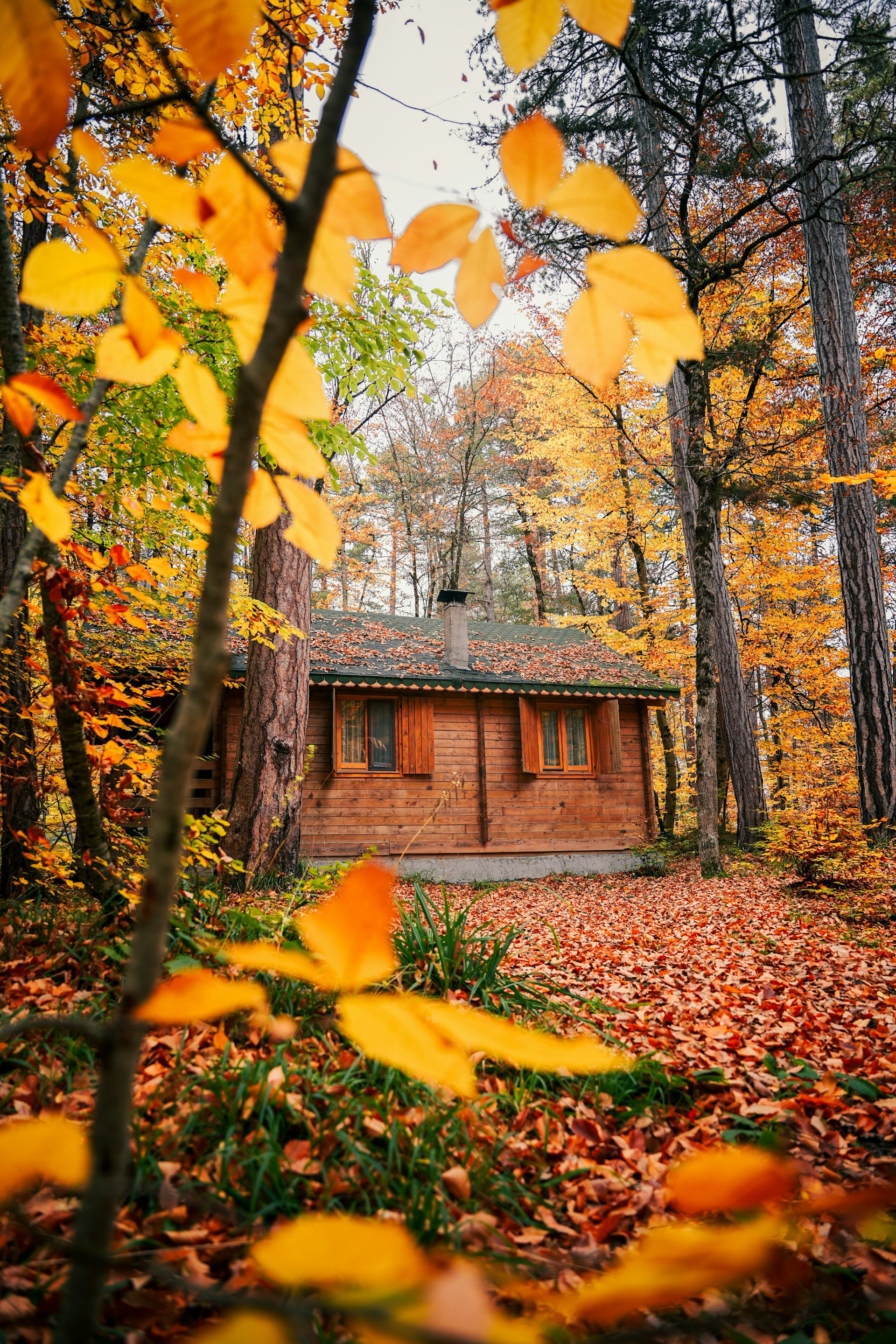 A cozy cabin surrounded by autumn leaves, showcasing a monthly special promotion for a peaceful retreat.