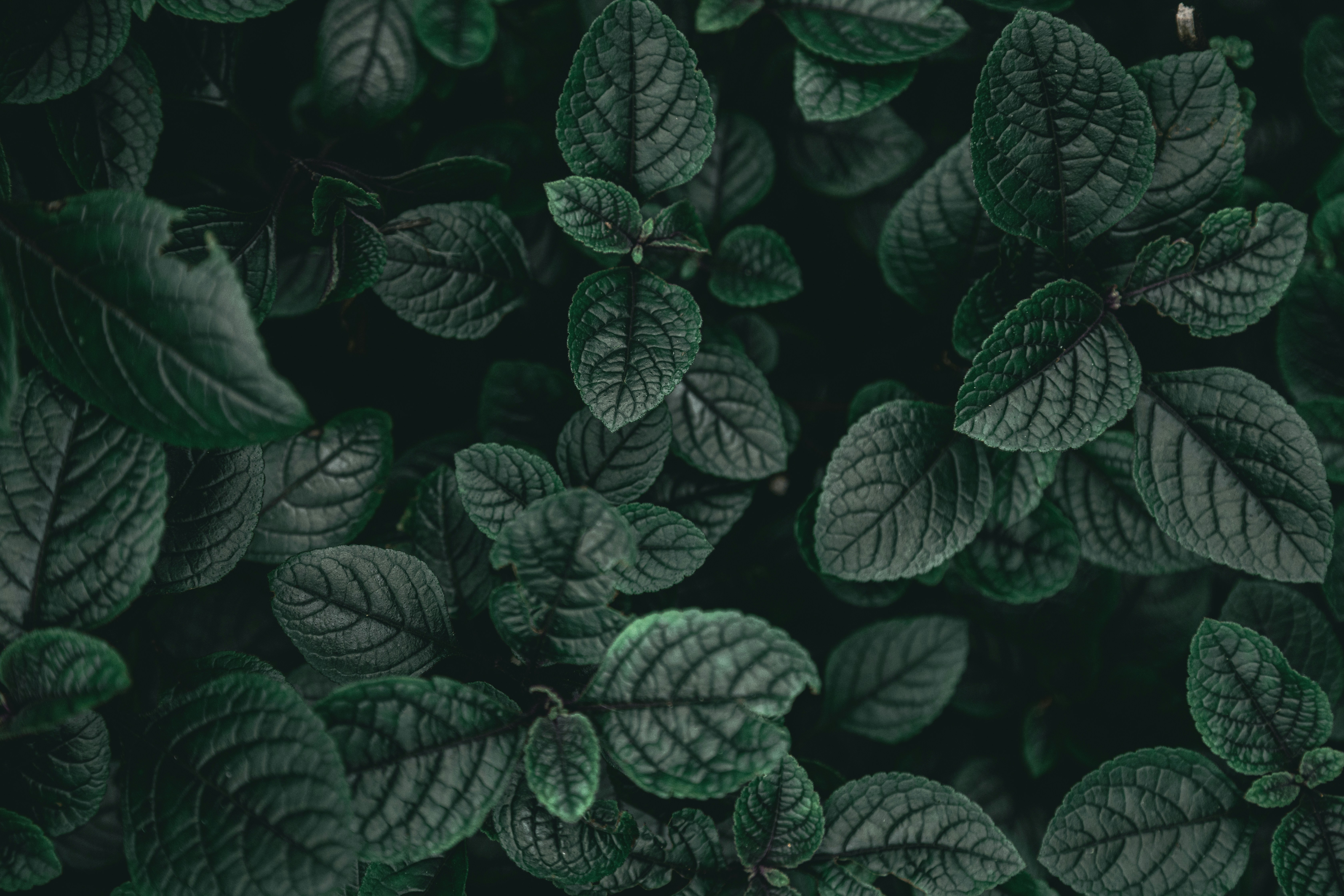 Photo by gabrieluizramos