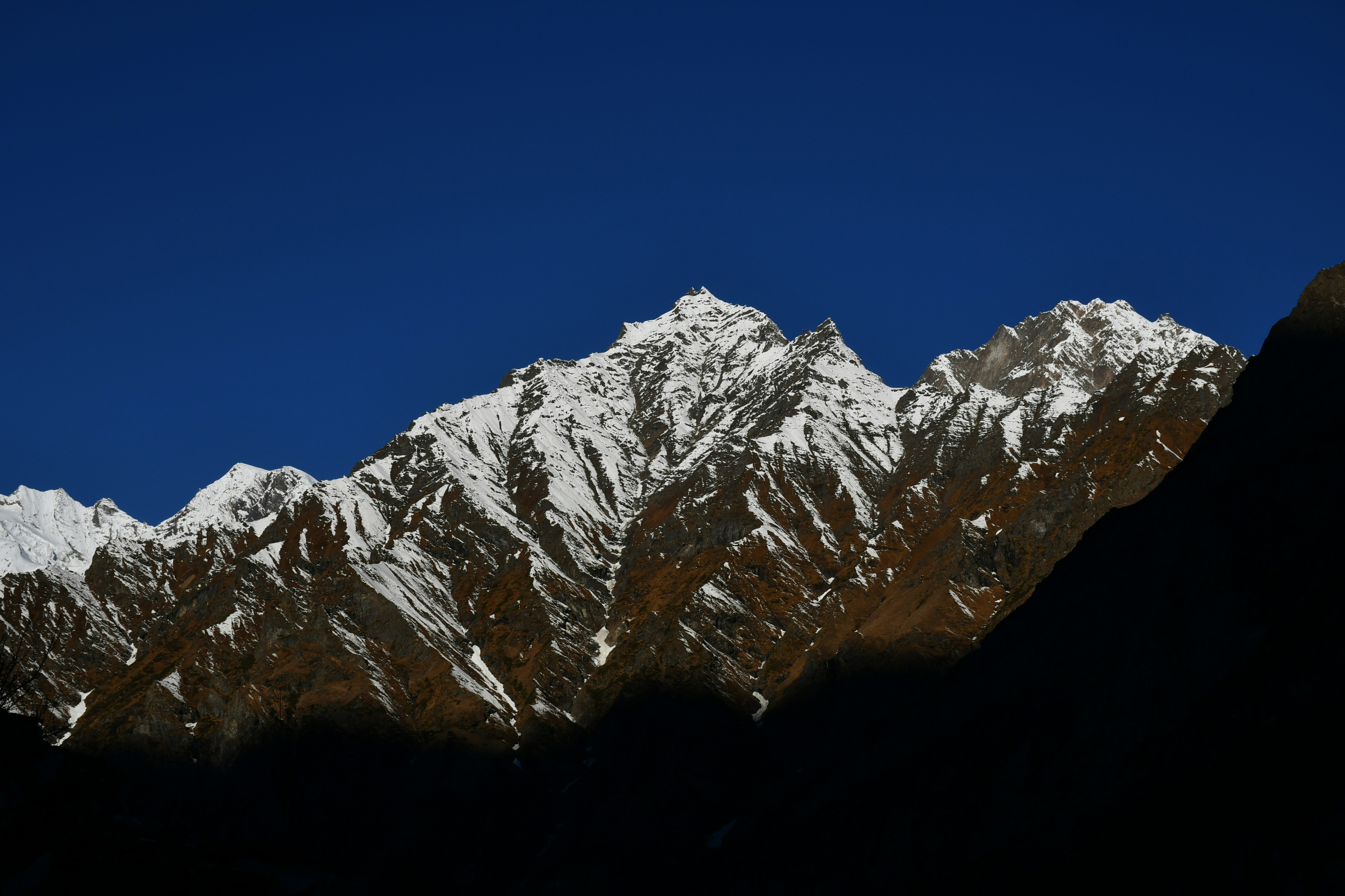 Photo by thehimalayanpanda