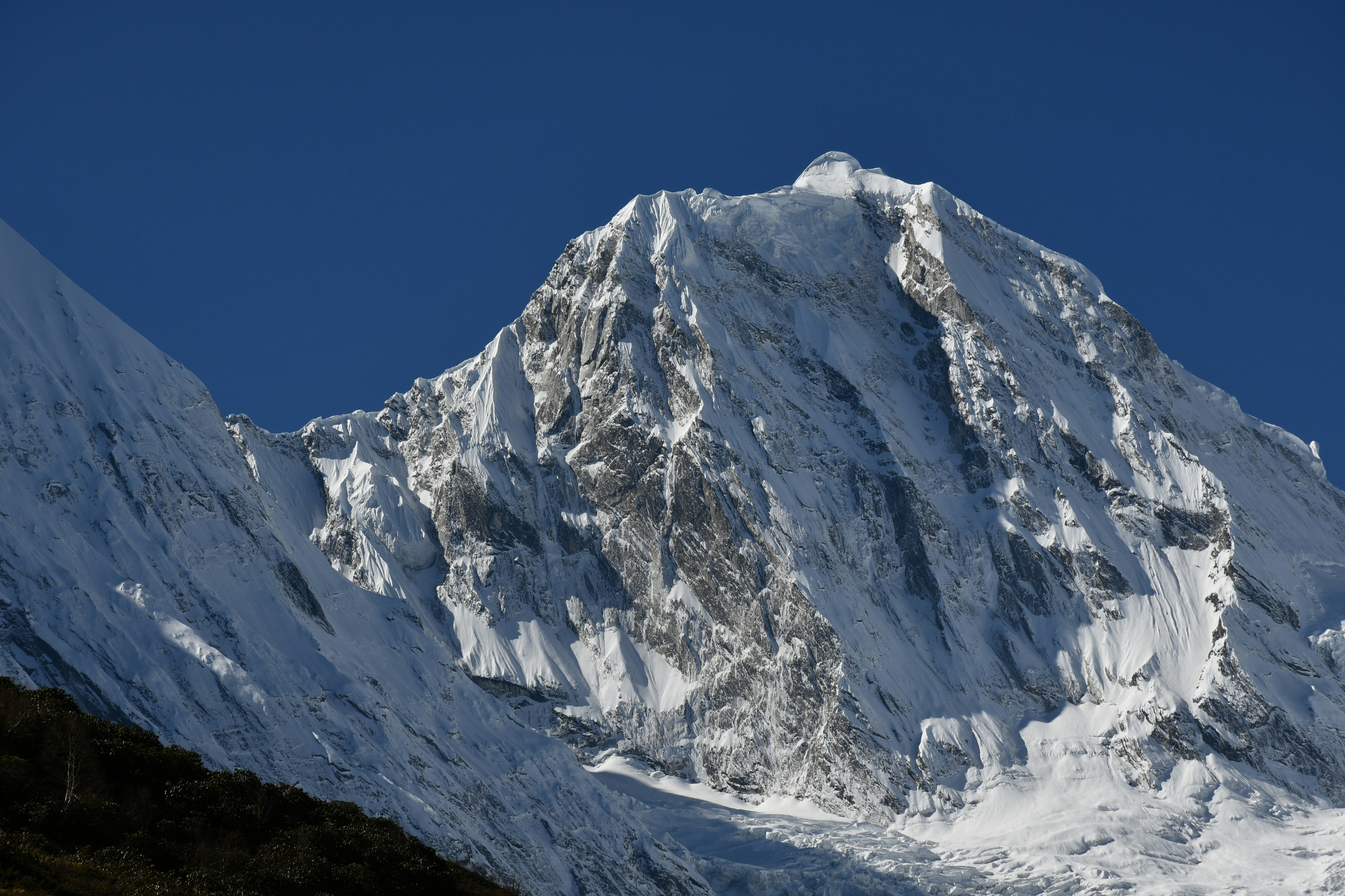 Photo by thehimalayanpanda