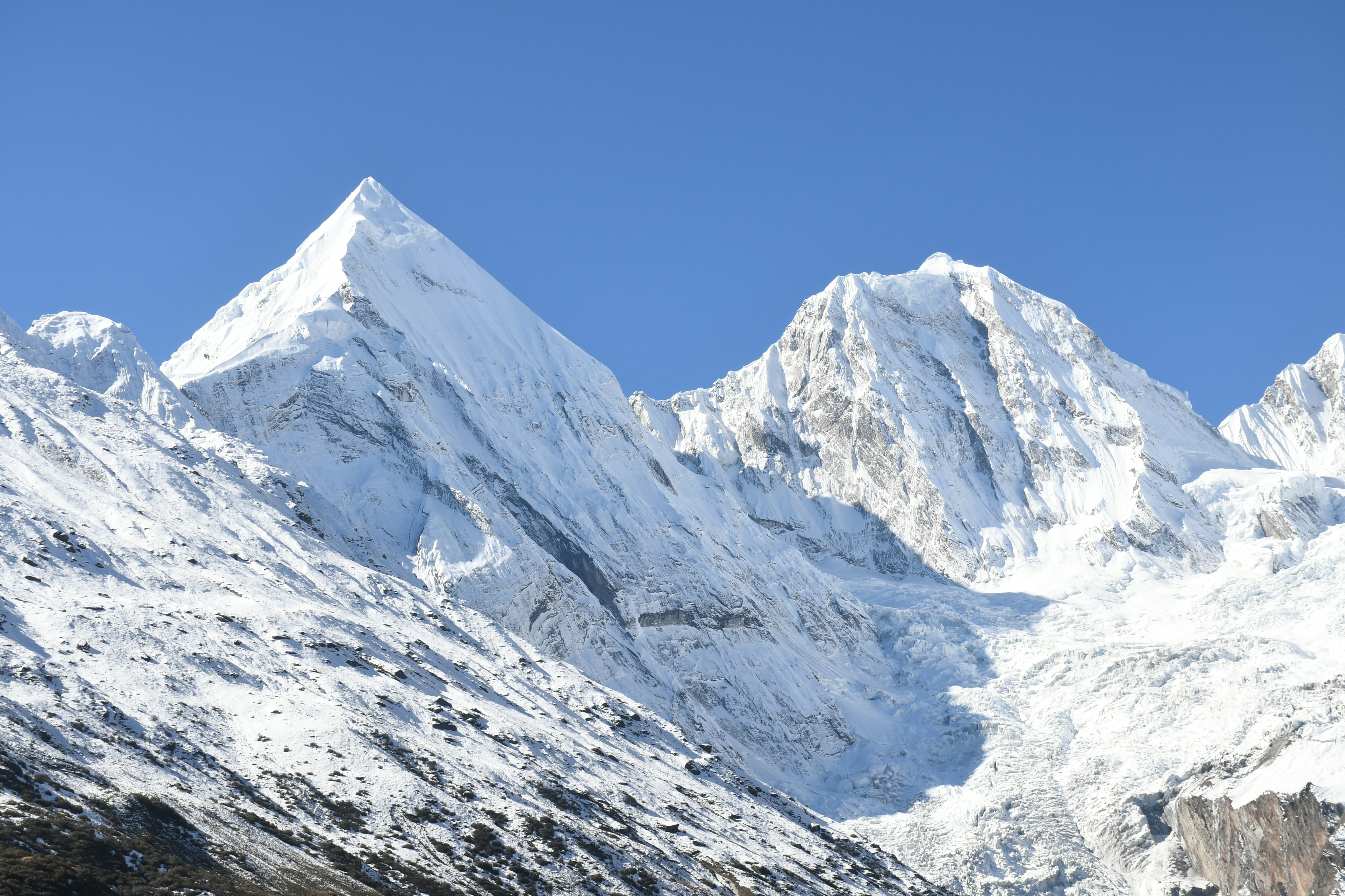 Photo by thehimalayanpanda