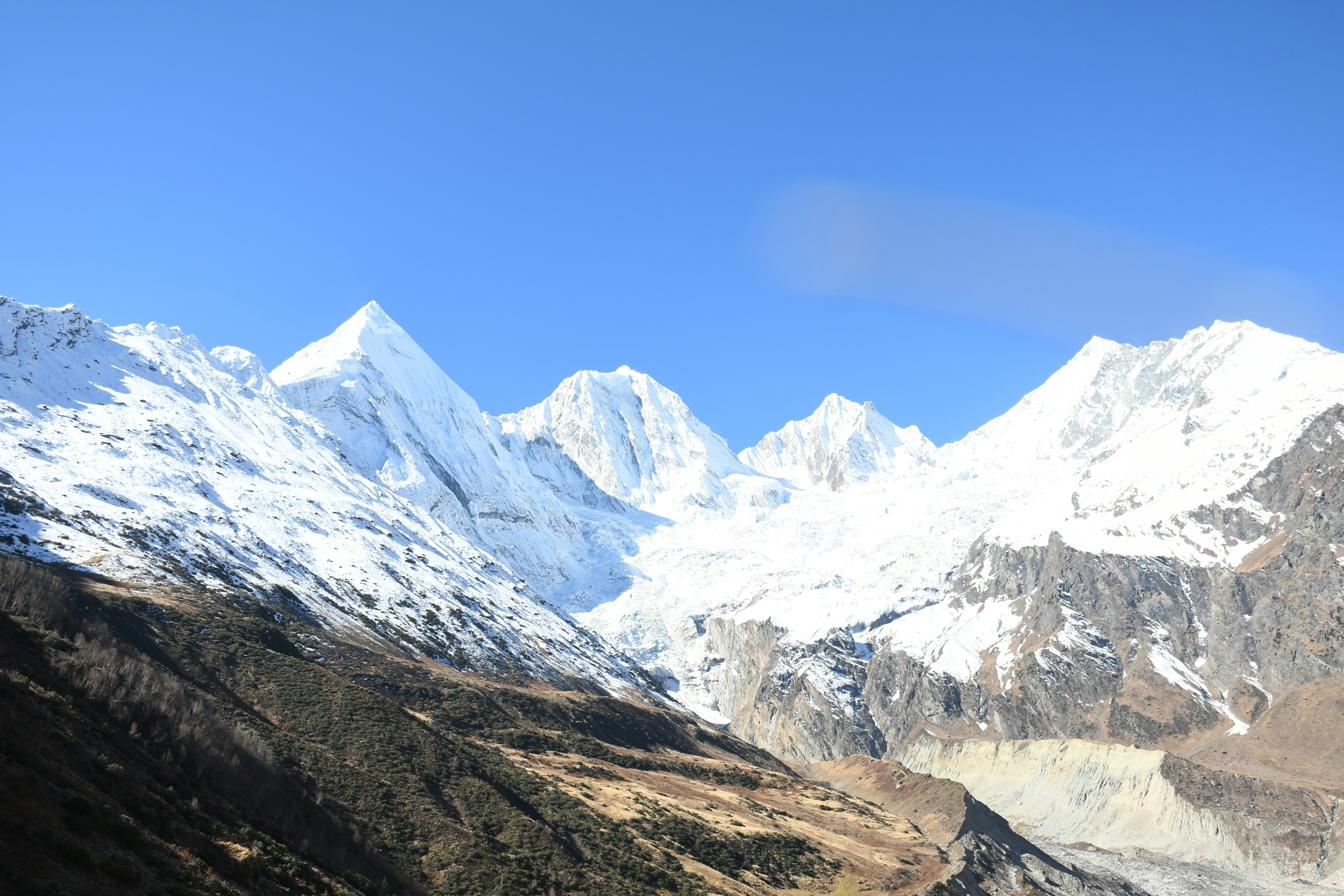 Photo by thehimalayanpanda