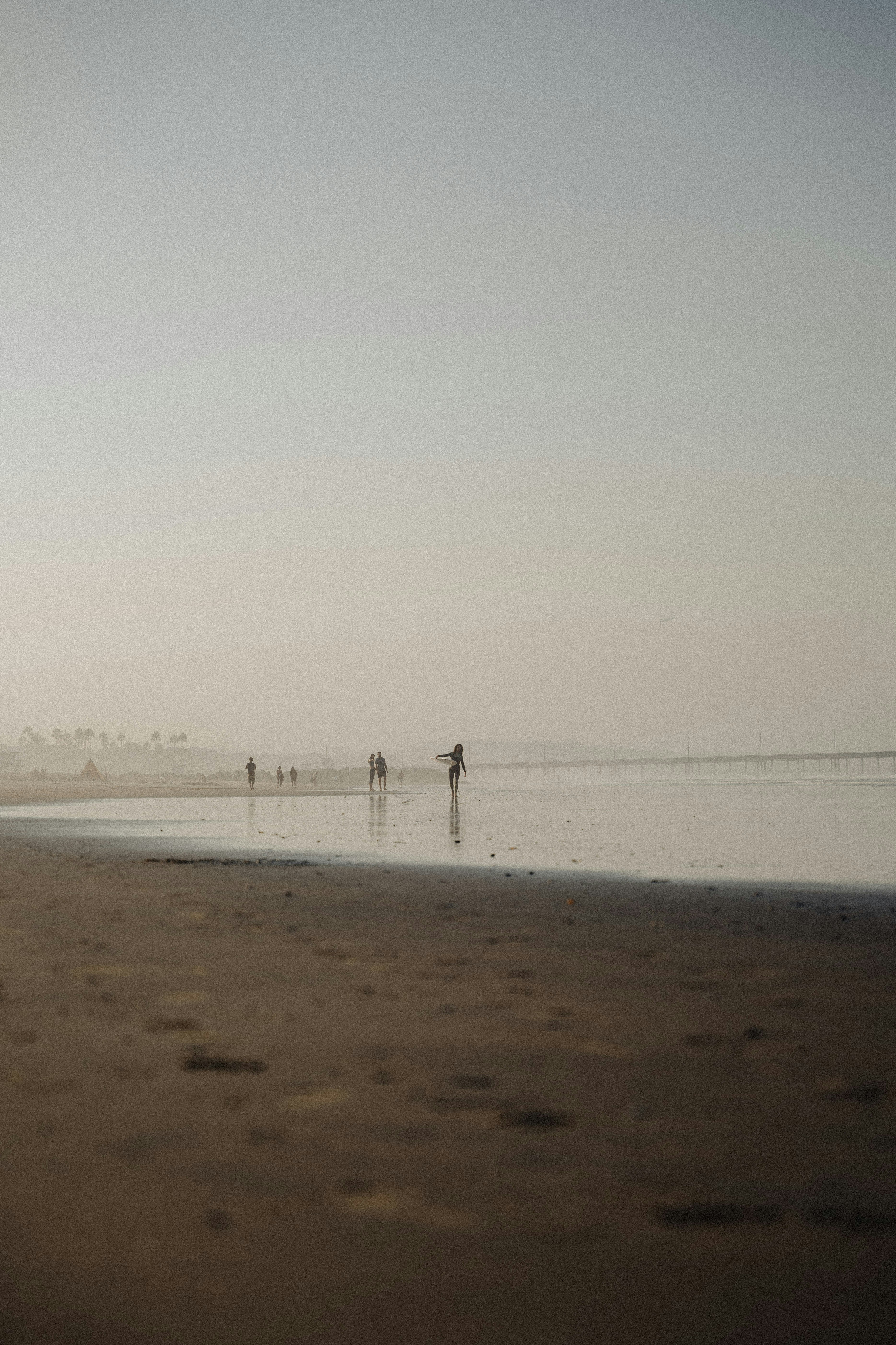 Photo by josefigueroa_mov