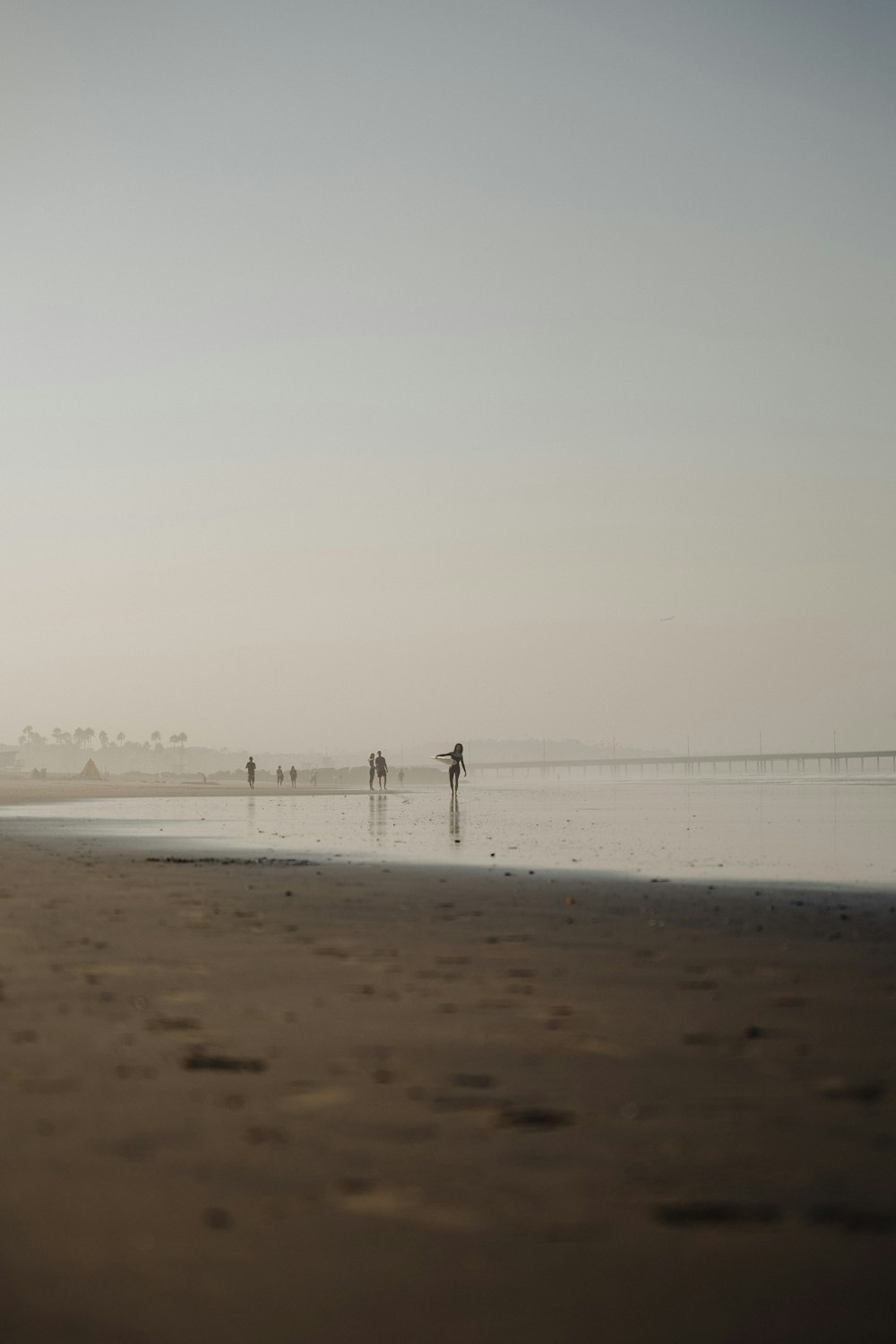 a group of people walking on a beach