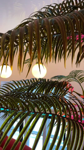 Close-up of hands installing energy-efficient lighting in a stylish Palm Beach office space.