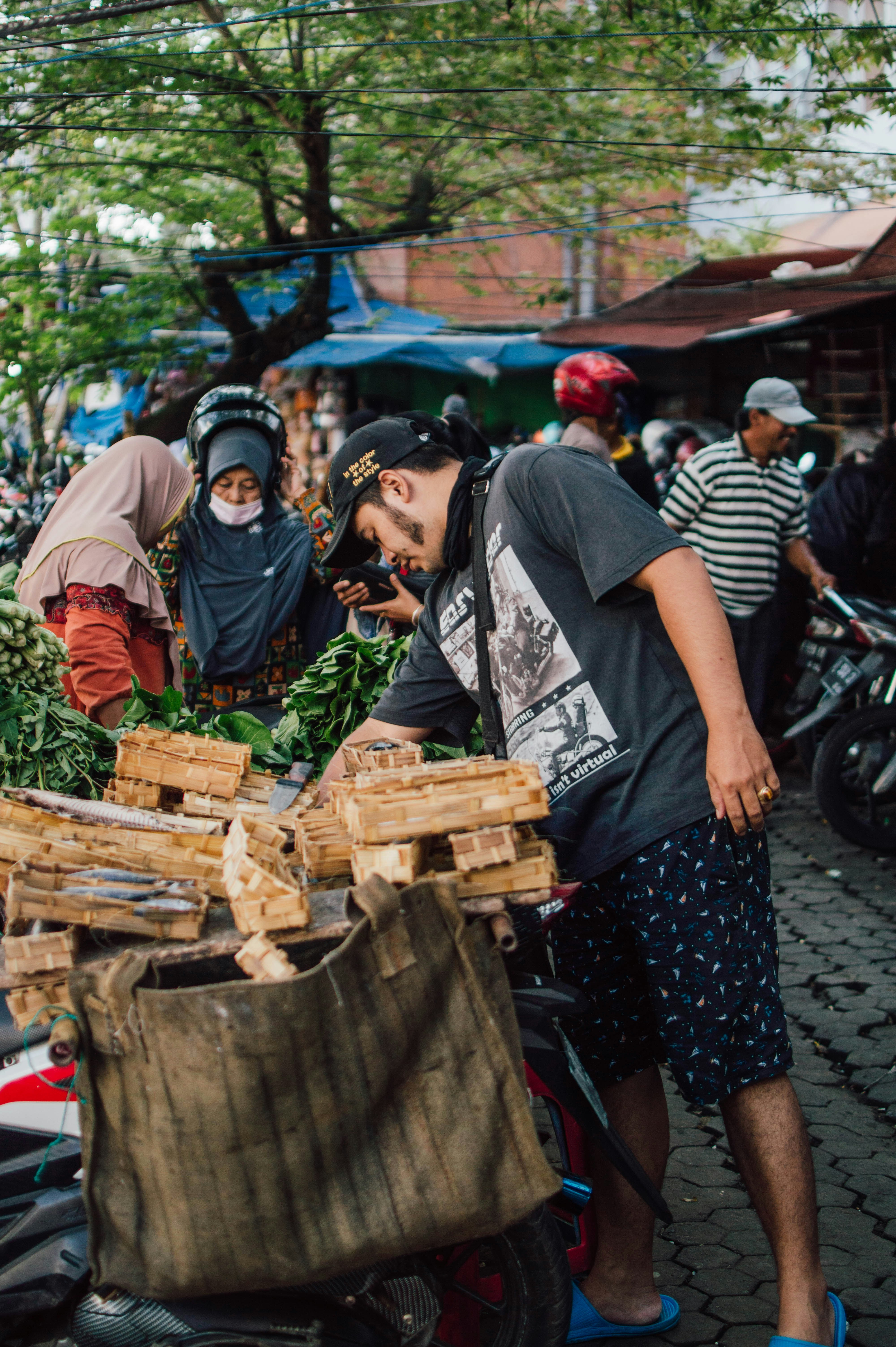 Komodo National Park Essentials: Dragon Encounters and Marine Adventures
