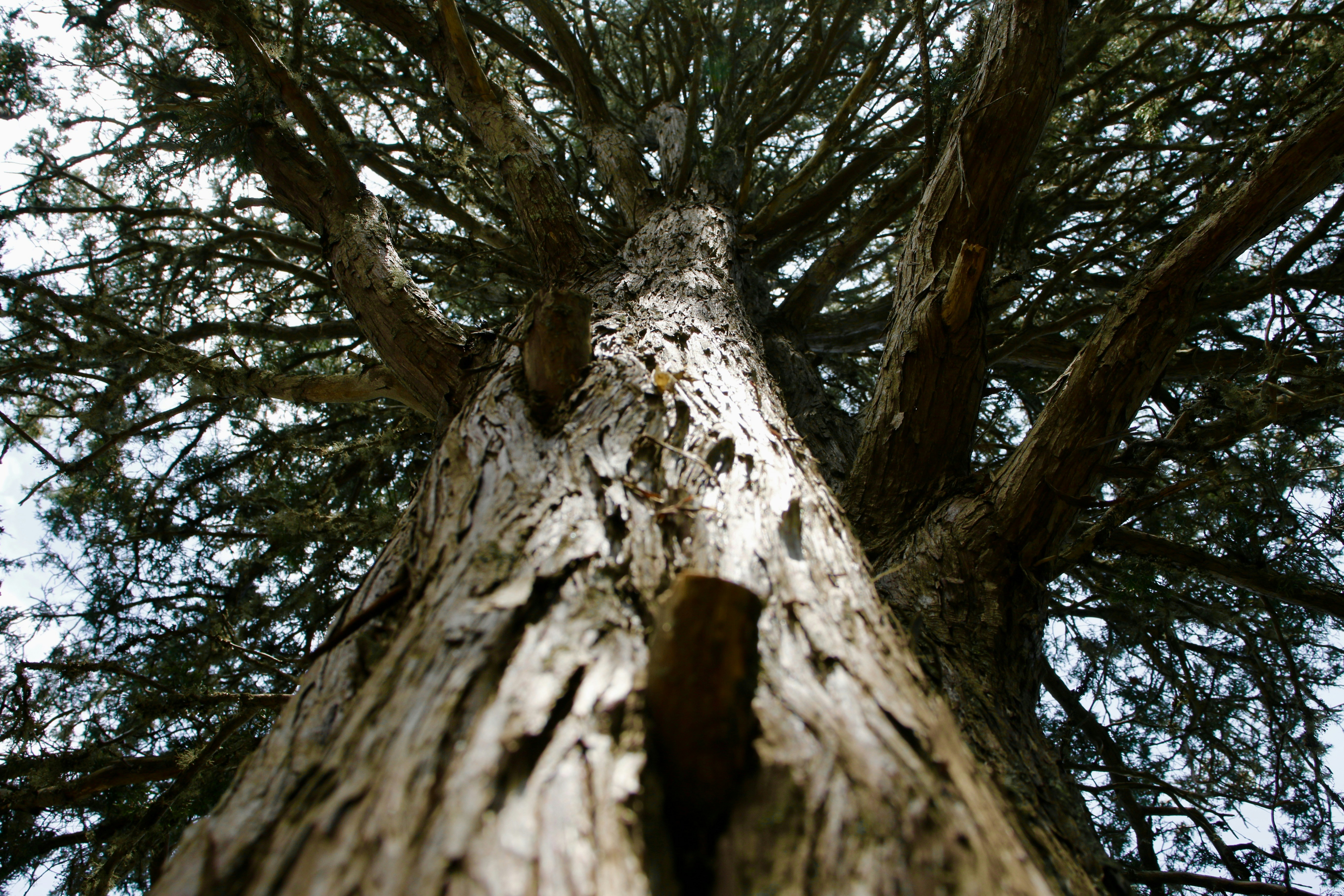 Photo by gabriels501