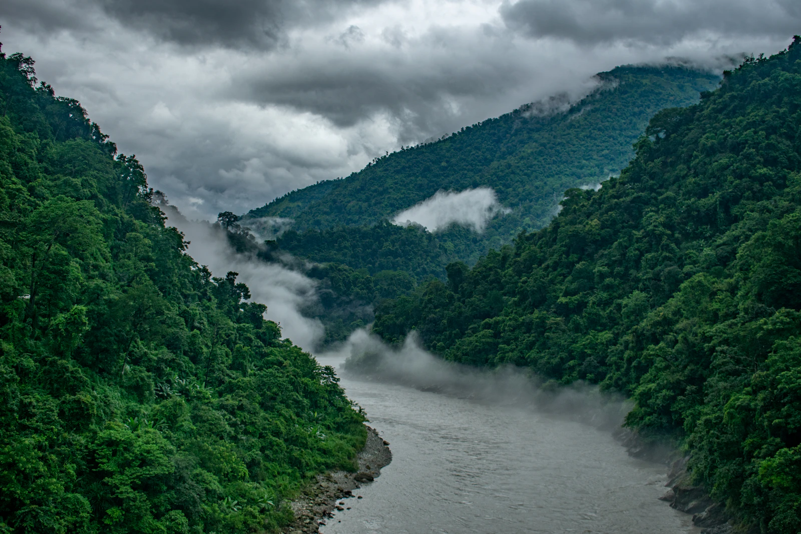 Mist drifting over the Teesta between the steep forested walls of its gorge at Sevoke, North Bengal