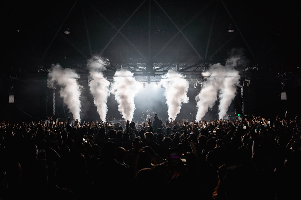 a large crowd of people at a concert