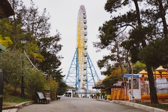 a roller coaster in a park