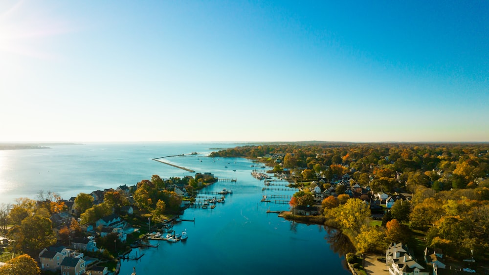 a body of water with trees and buildings around it