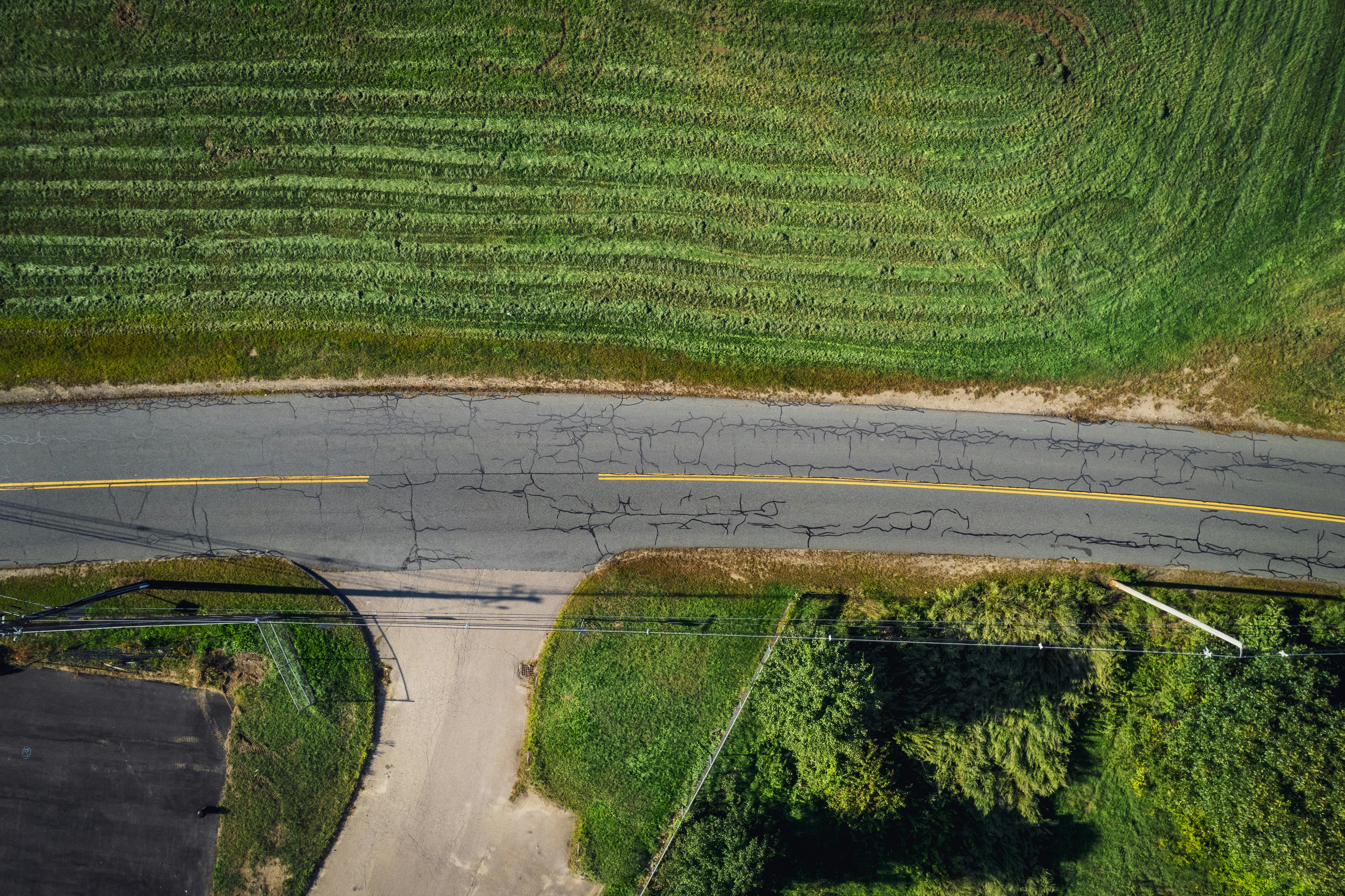 Photo by thomaswerneken