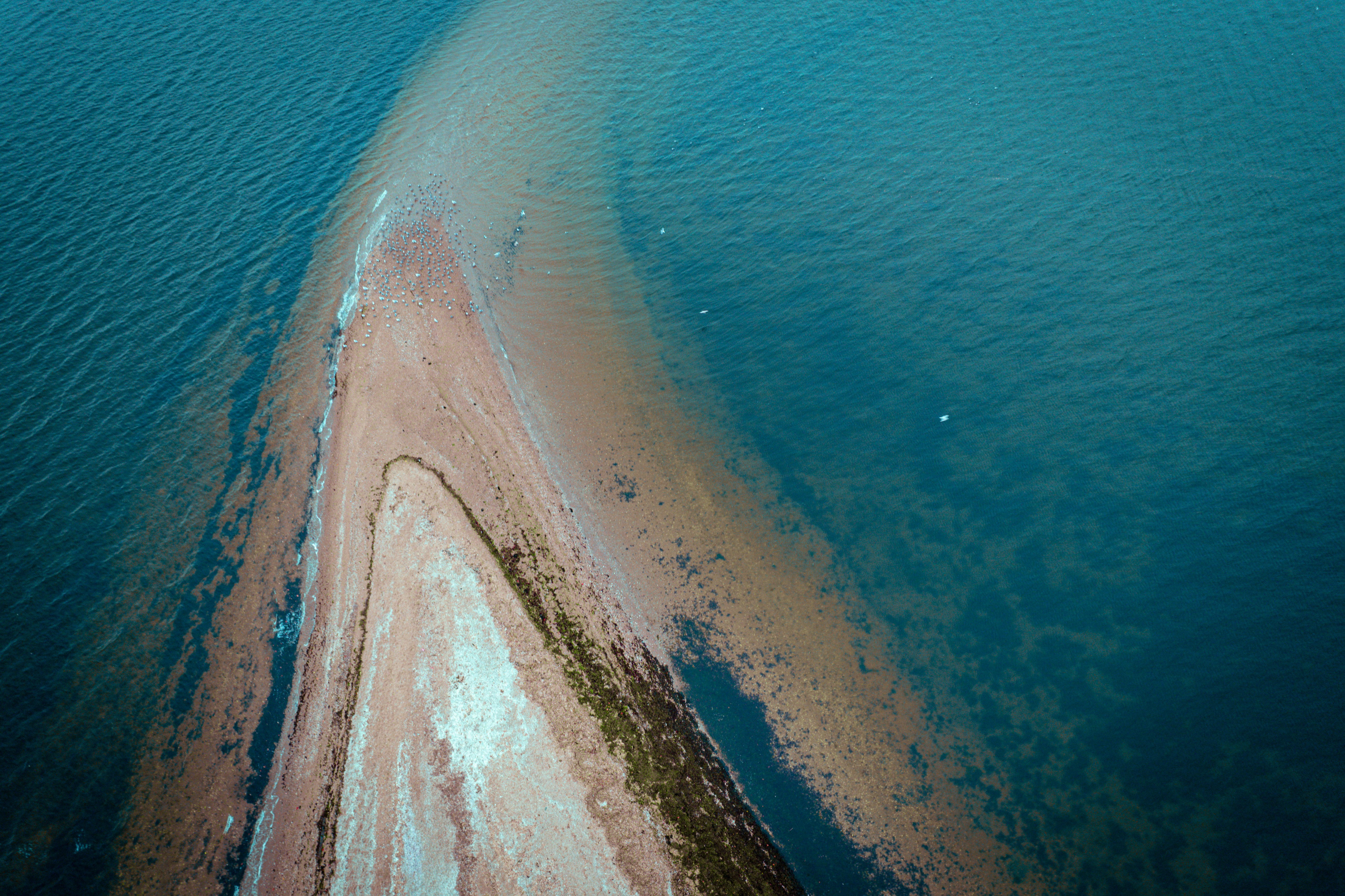 Photo by thomaswerneken