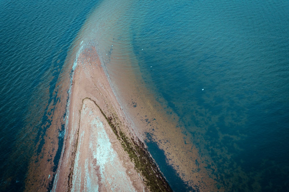 a beach with a body of water