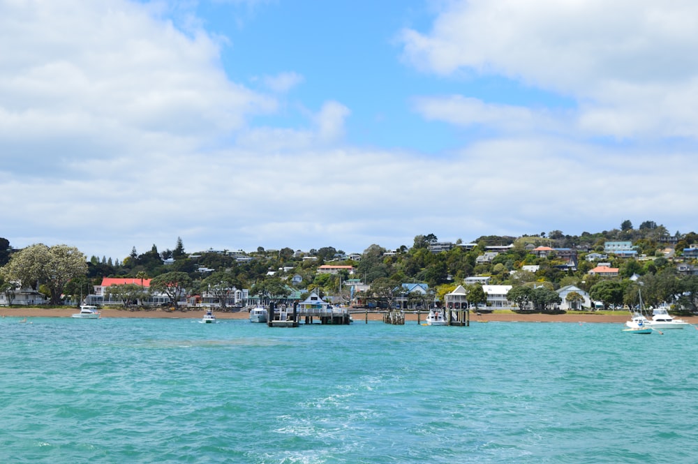 a body of water with boats and houses along it