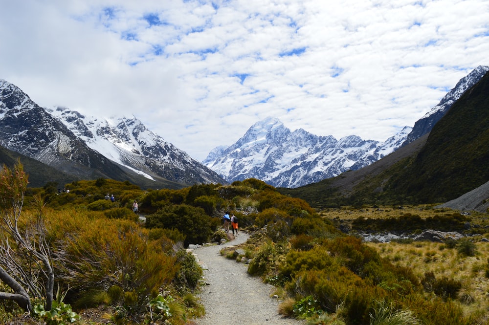 a group of people walking on a trail in Aoraki / Mount Cook range