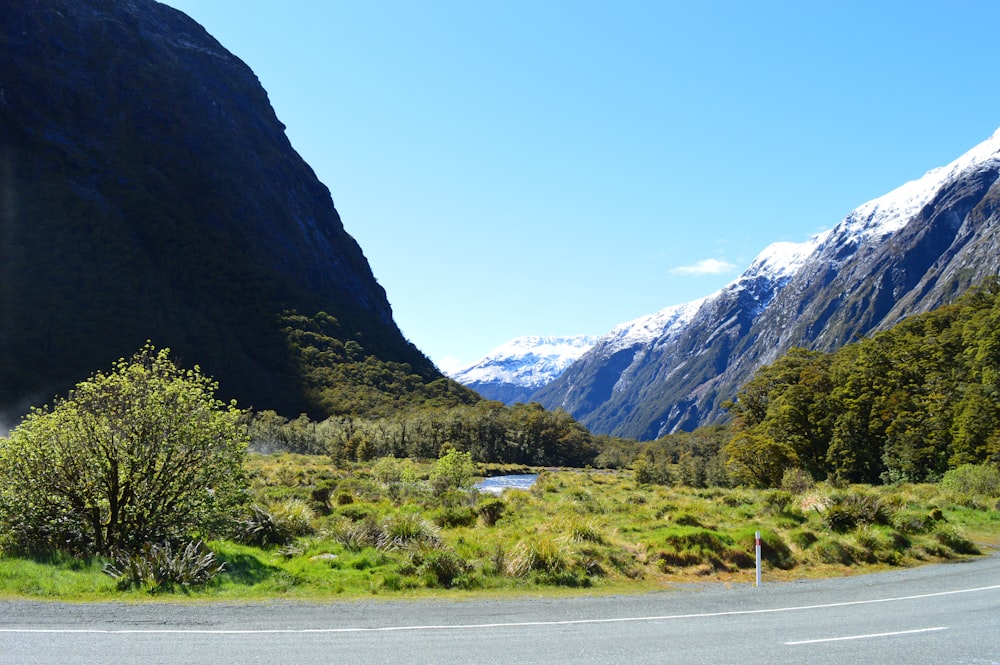 a road with trees and mountains in the background