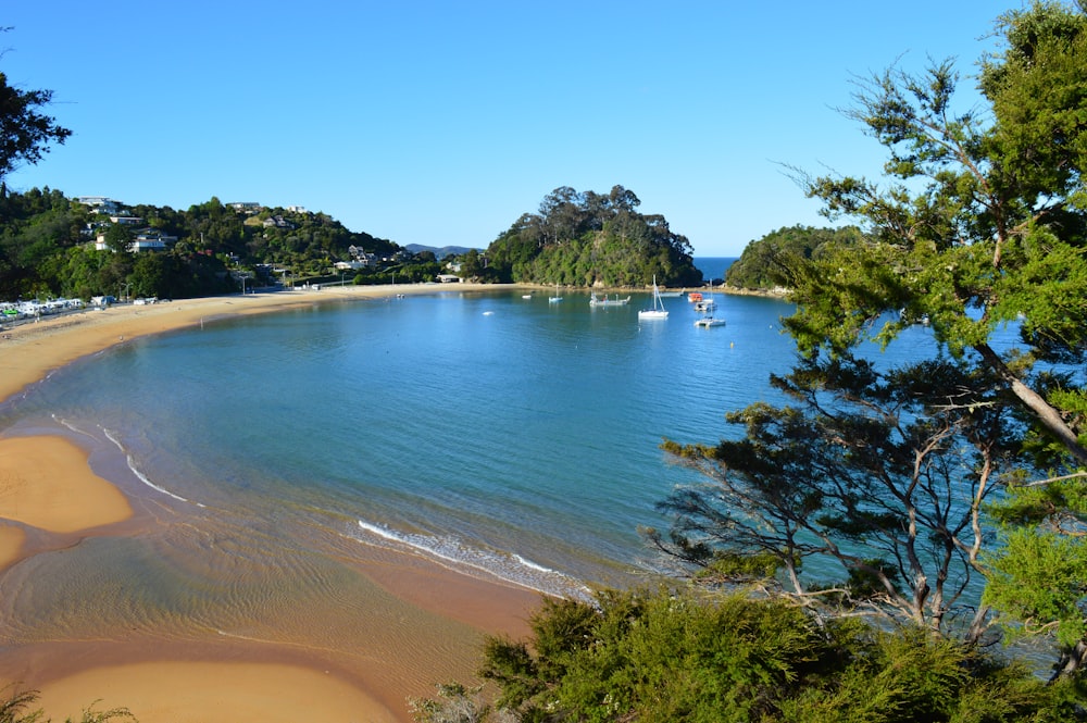 a beach with boats on it