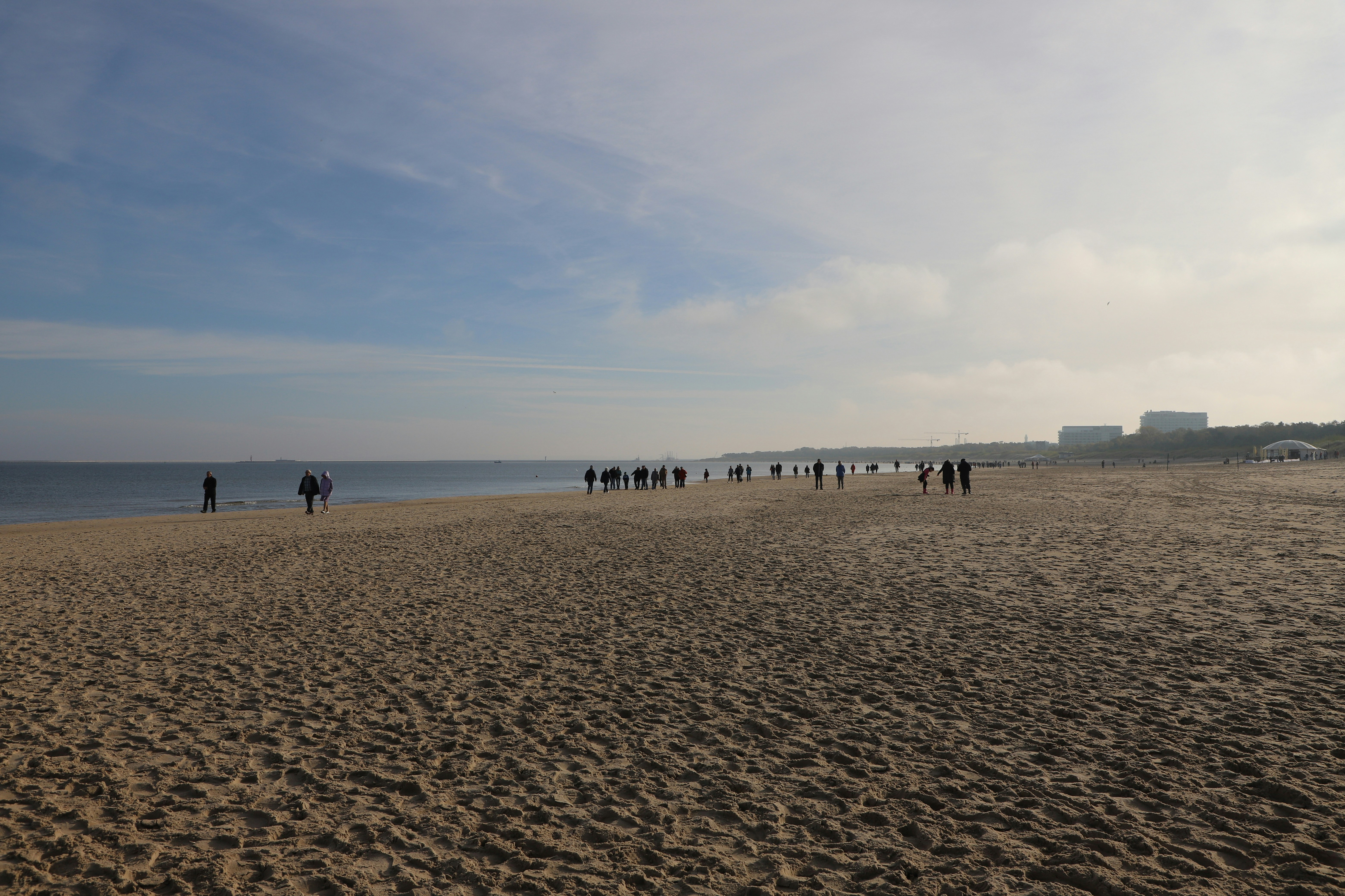 a group of people walking on a beach