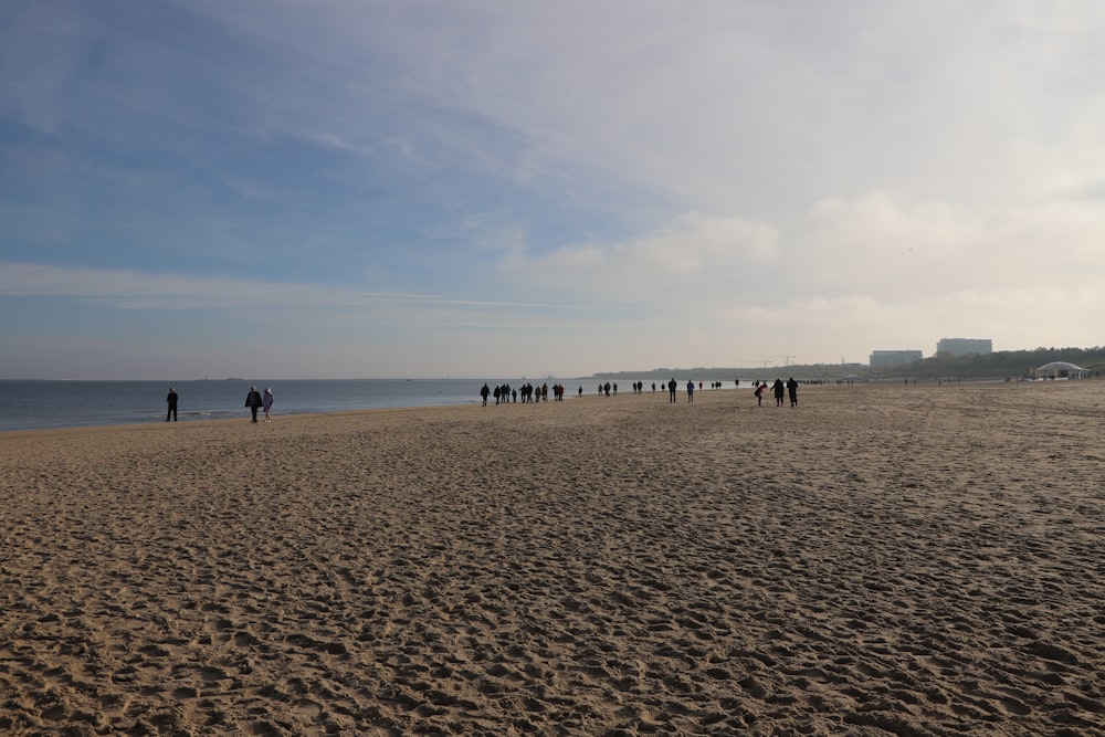 a group of people walking on a beach